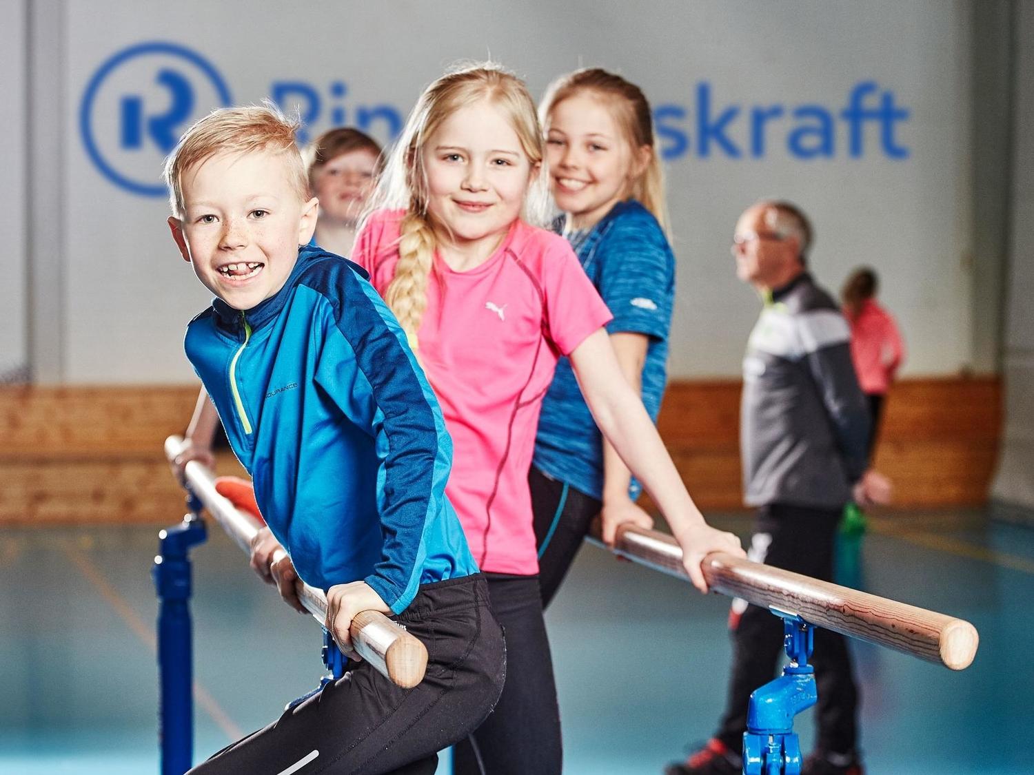 Ringerikskraft